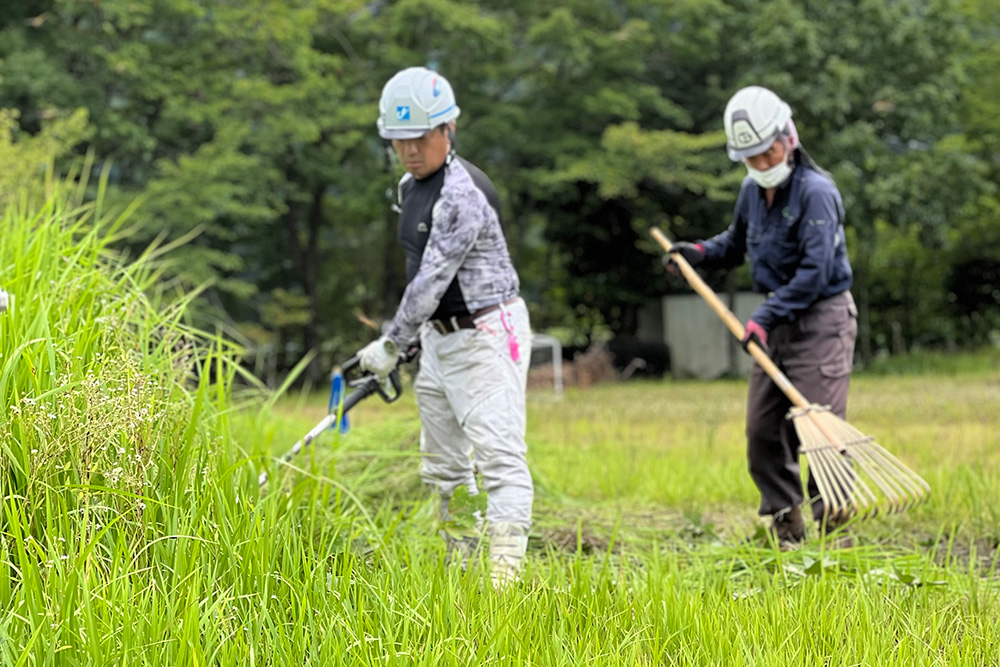 美化活動｜山善